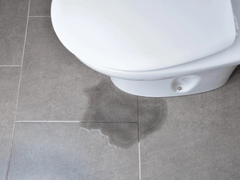 Water leaking out of toilet bowl