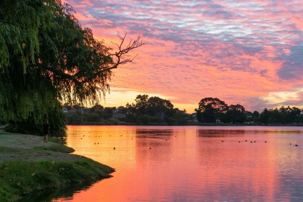 Lake Monger in Wembley