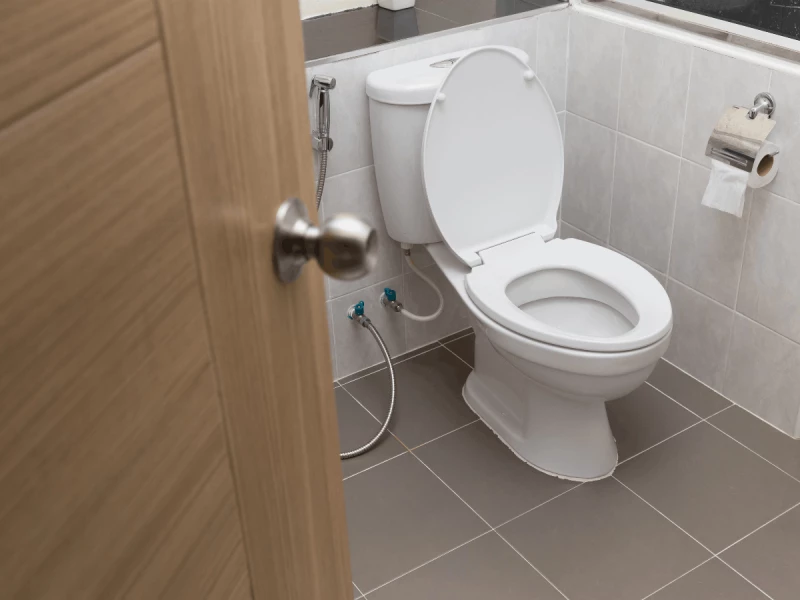 Door open for pathway into toilet