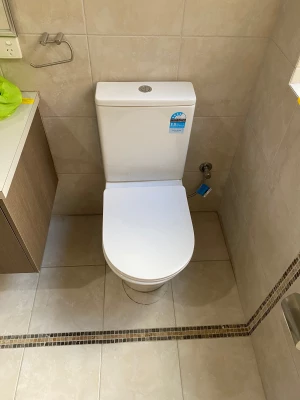 Newly installed replacement toilet suite in Ascot