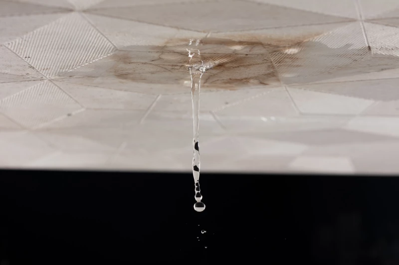 Warning Signs of a Leaky Pipe in Your Wall