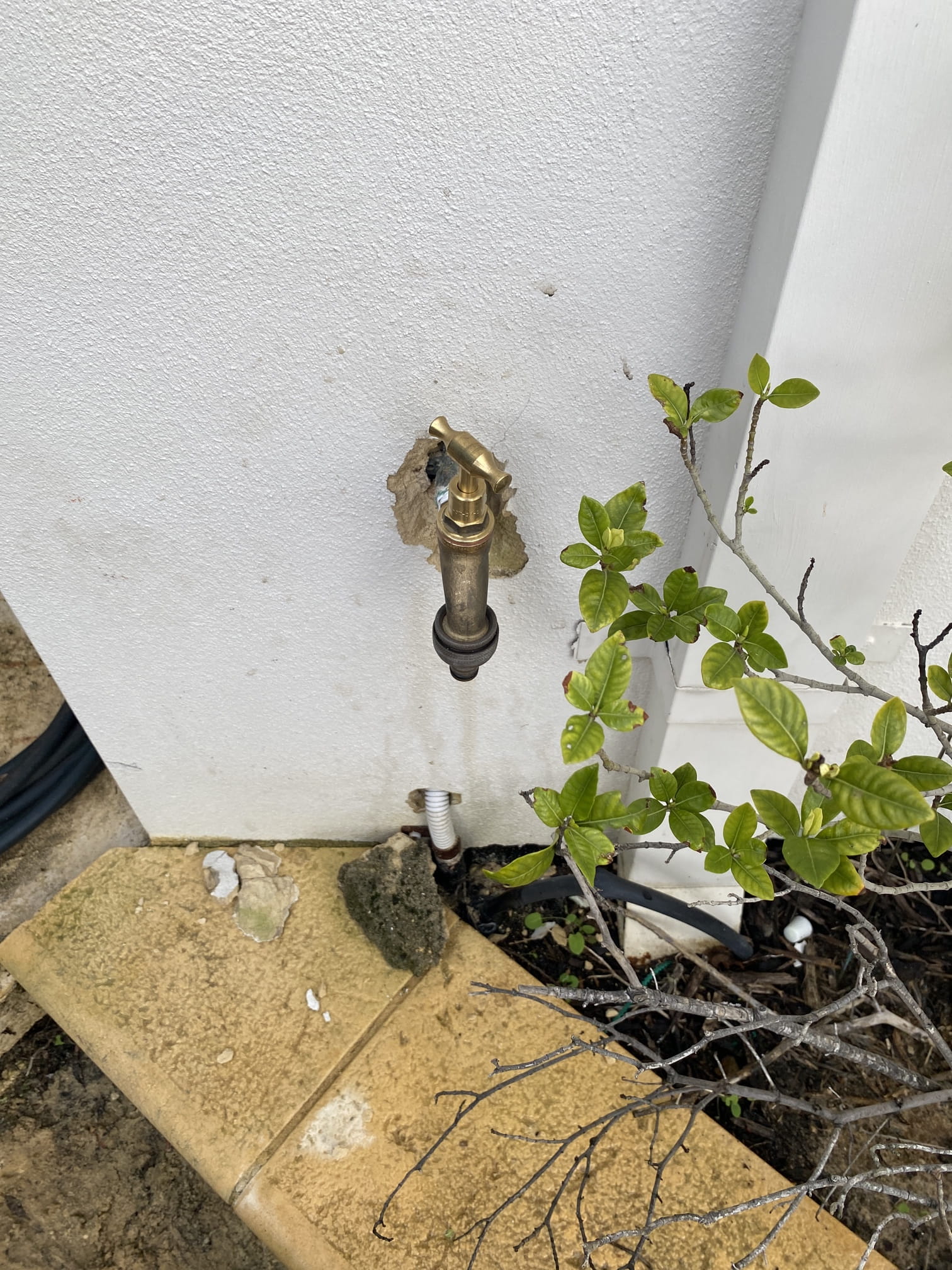 Old leaking garden tap on an outside wall in Bayswater