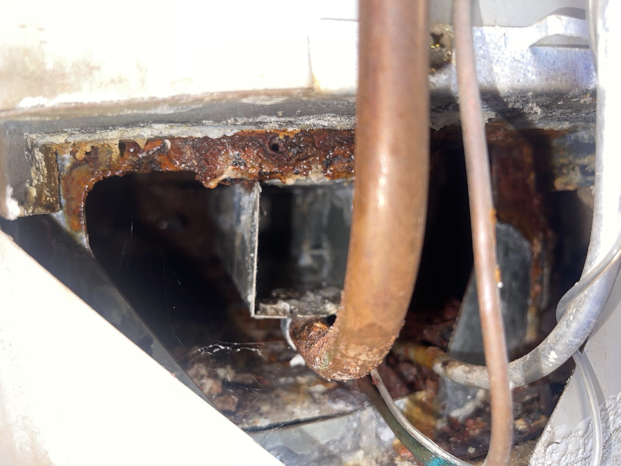 Case Study: Split Hot Water Tank Replaced in Hammond Park 1 Corroded burner area at the base of a split gas hot water system in Hammond Park