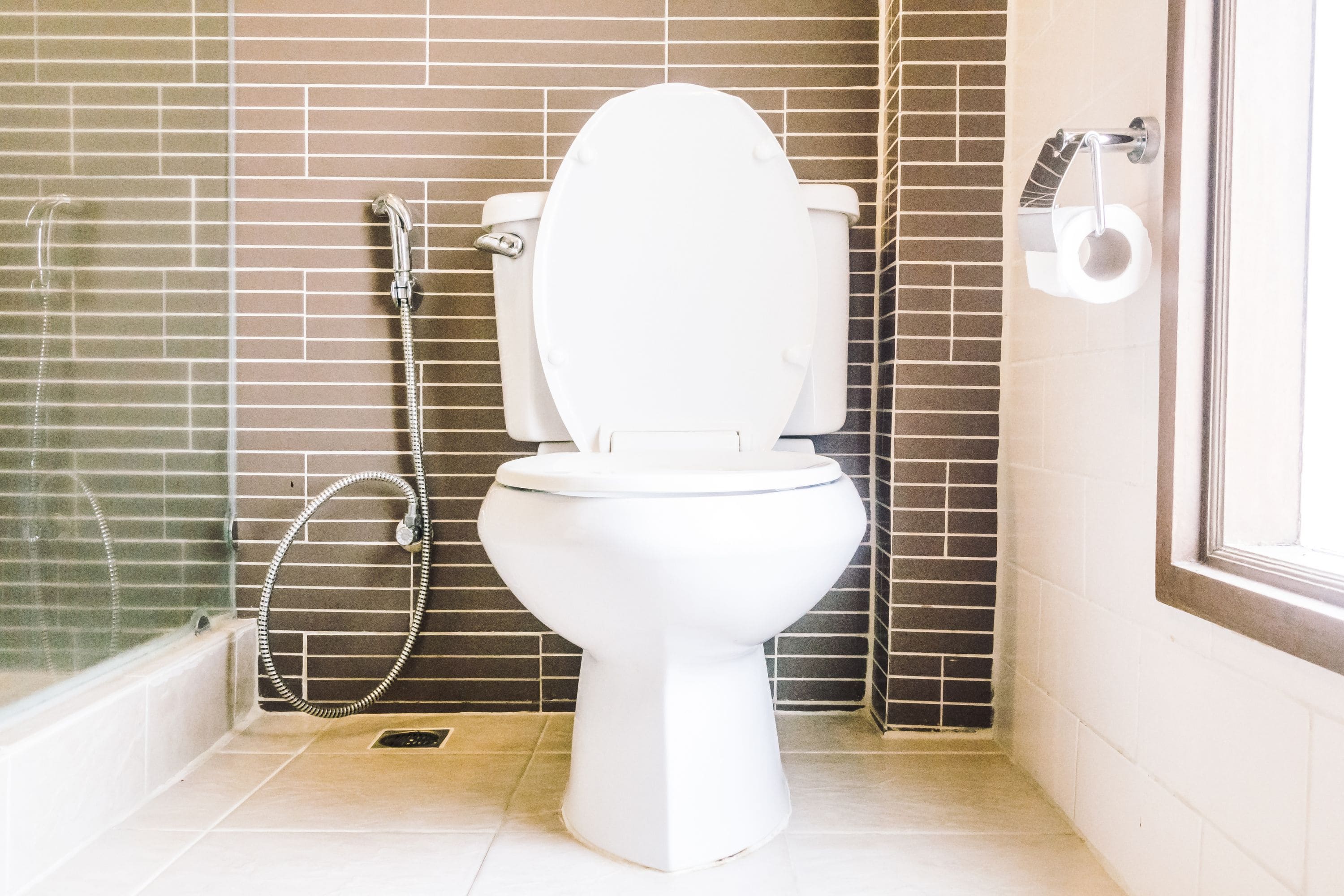 a toilet in a perth home